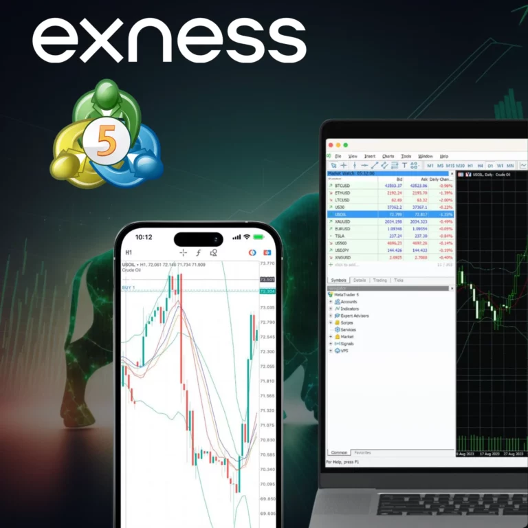 Terminal Web Exness MT5
